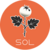 Sol The Trophy Tomato